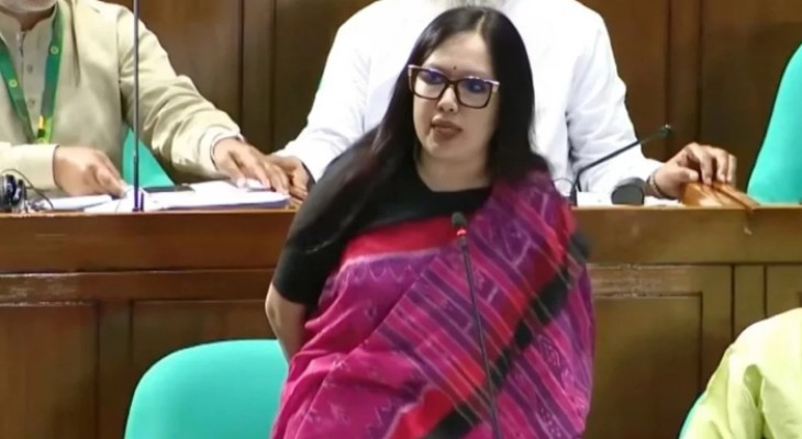 মবের শহরে পরিণত হয়েছে দেশ: রুমিন ফারহানা